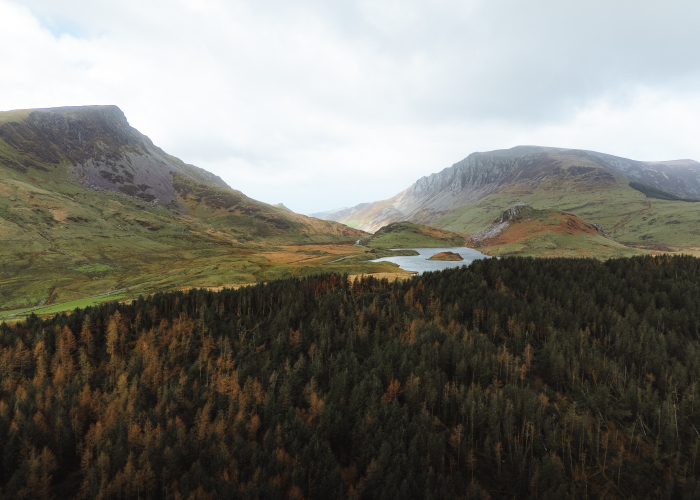 Mountains to the sea
